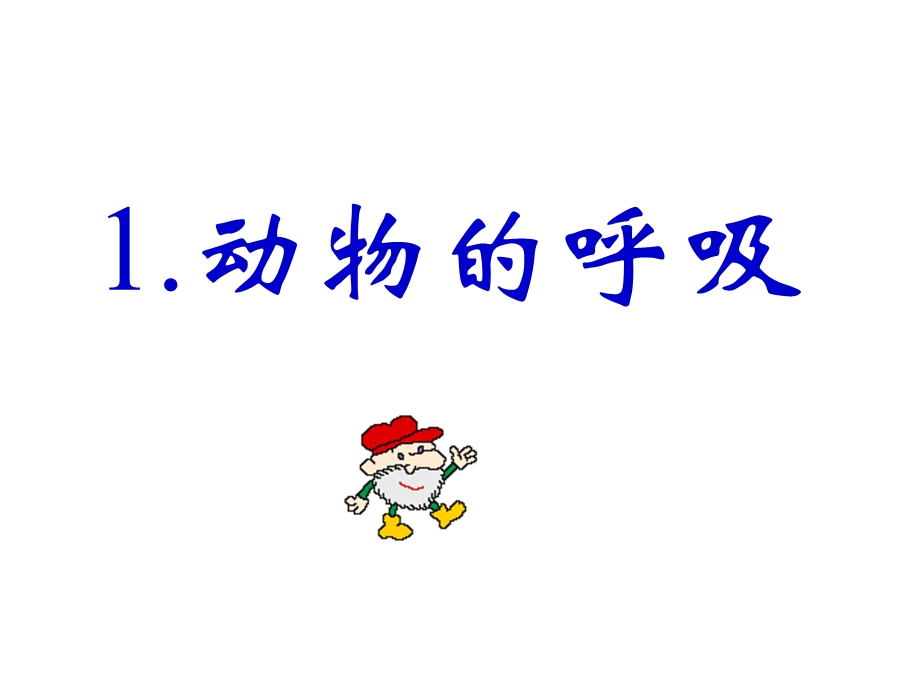 动物的呼吸呼吸作用.ppt_第1页