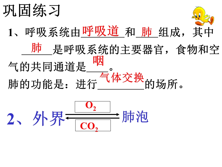 动物的呼吸呼吸作用.ppt_第2页