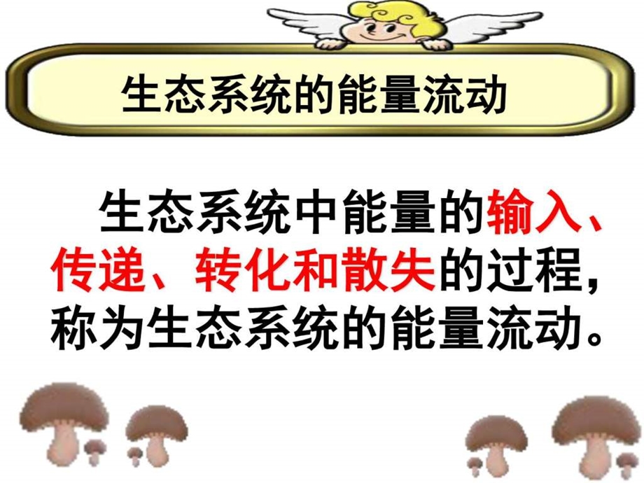 生态系统的能量流动图文.ppt.ppt_第2页