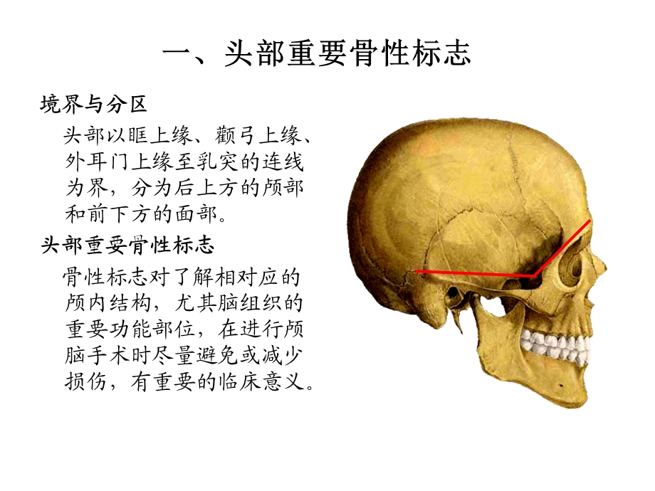 湘雅颅脑应用解剖1.ppt_第3页