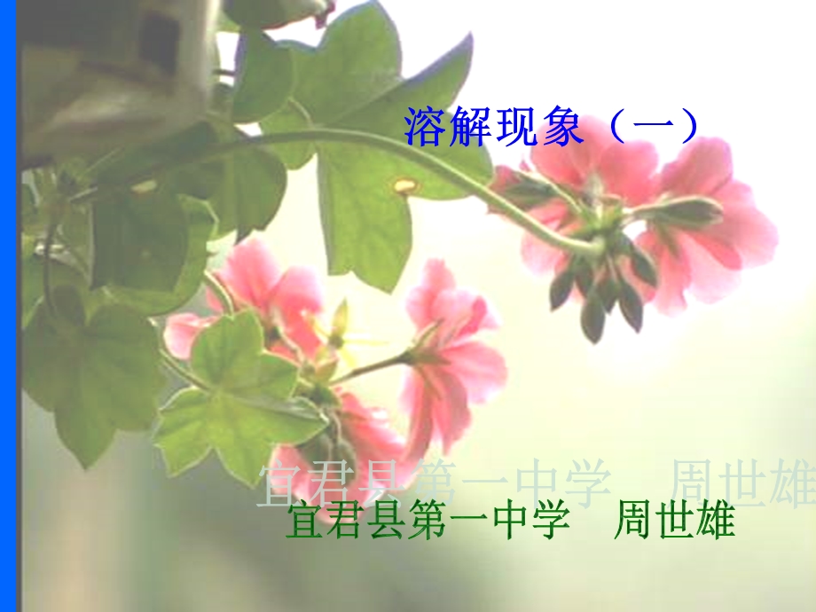 物质溶解1（上课）.ppt_第1页