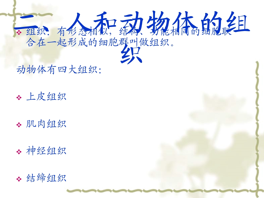 动植物体的结构层次.ppt_第3页