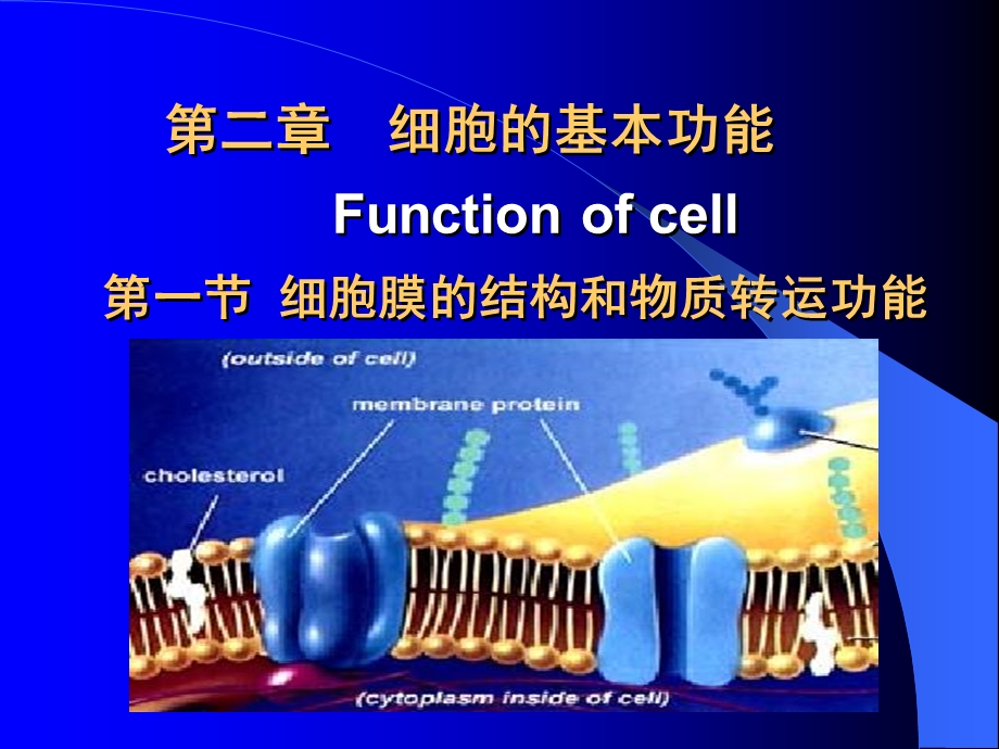 288第二章细胞的基本功能.ppt_第1页