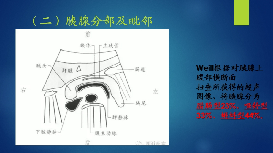 胰腺精选文档.pptx_第2页