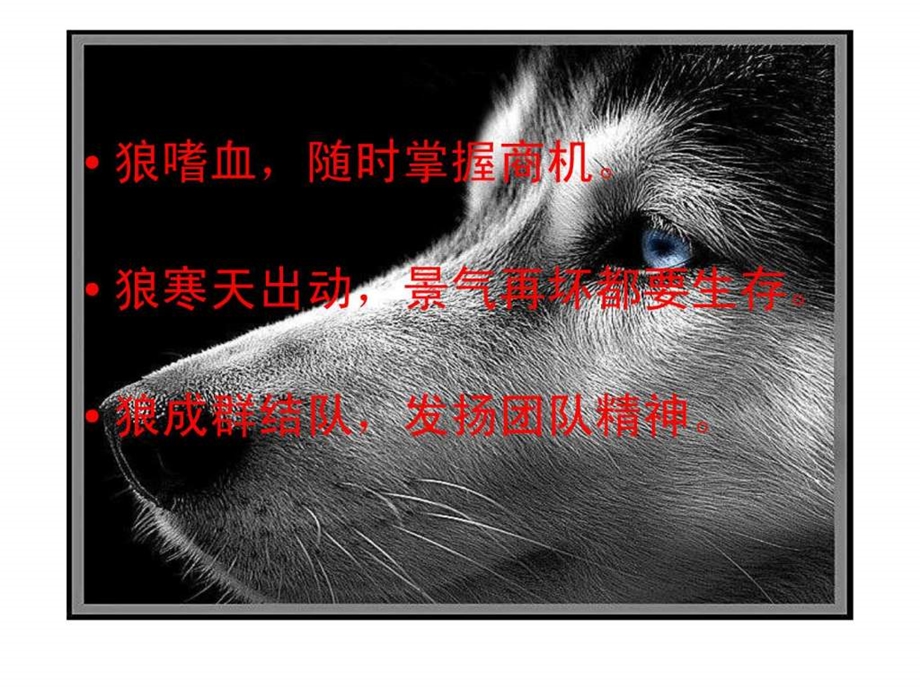 打造狼性团队37.ppt_第3页