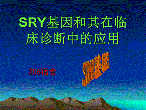 SRY基因和其在临床诊断中的应用.ppt