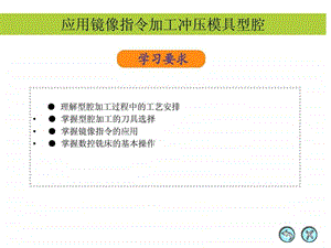 应用镜像指令加工冲压模具型腔.ppt.ppt