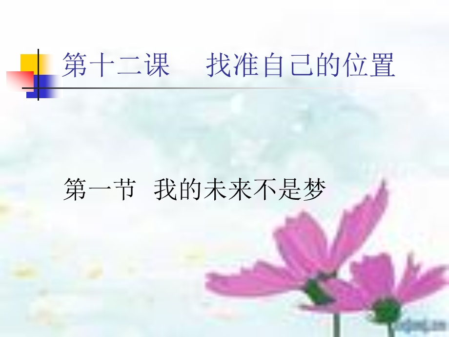 第十二课找准自己的位置我的未来不是梦.ppt_第1页