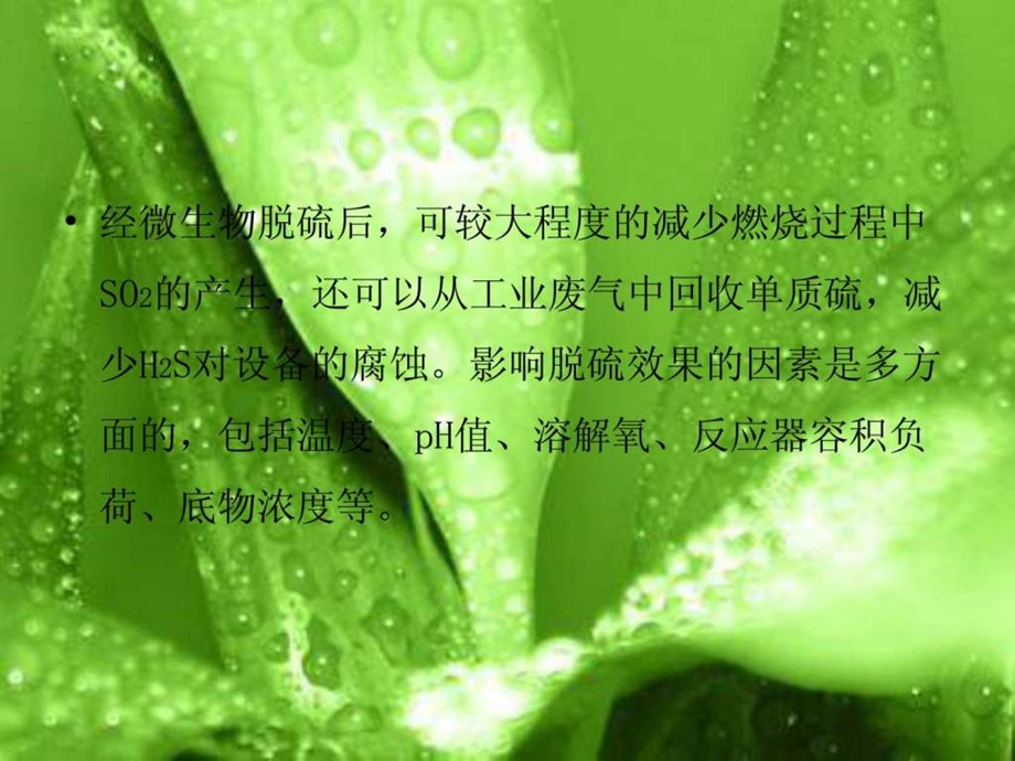 刘金成硫化细菌.ppt.ppt.ppt_第3页