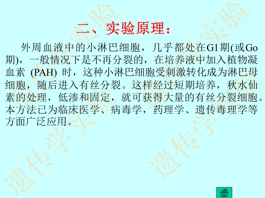 人的外周血淋巴细胞培养文档资料.ppt_第3页