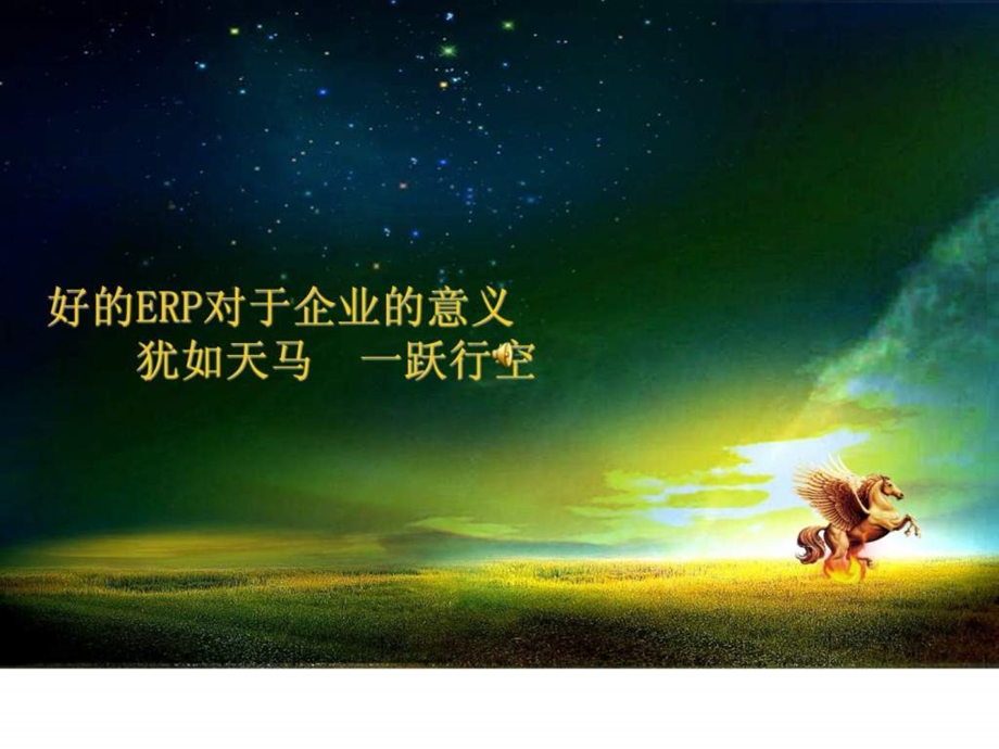 ERP供应商之选型16.ppt_第1页