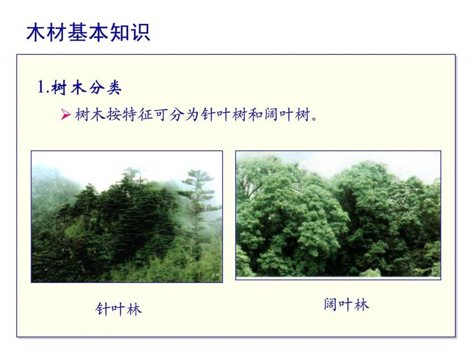 建筑材料第九章木材.ppt.ppt_第2页