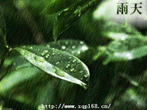 雨晓课件.ppt.ppt