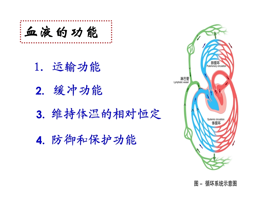 生理学第三章 血液 文档资料.ppt_第2页