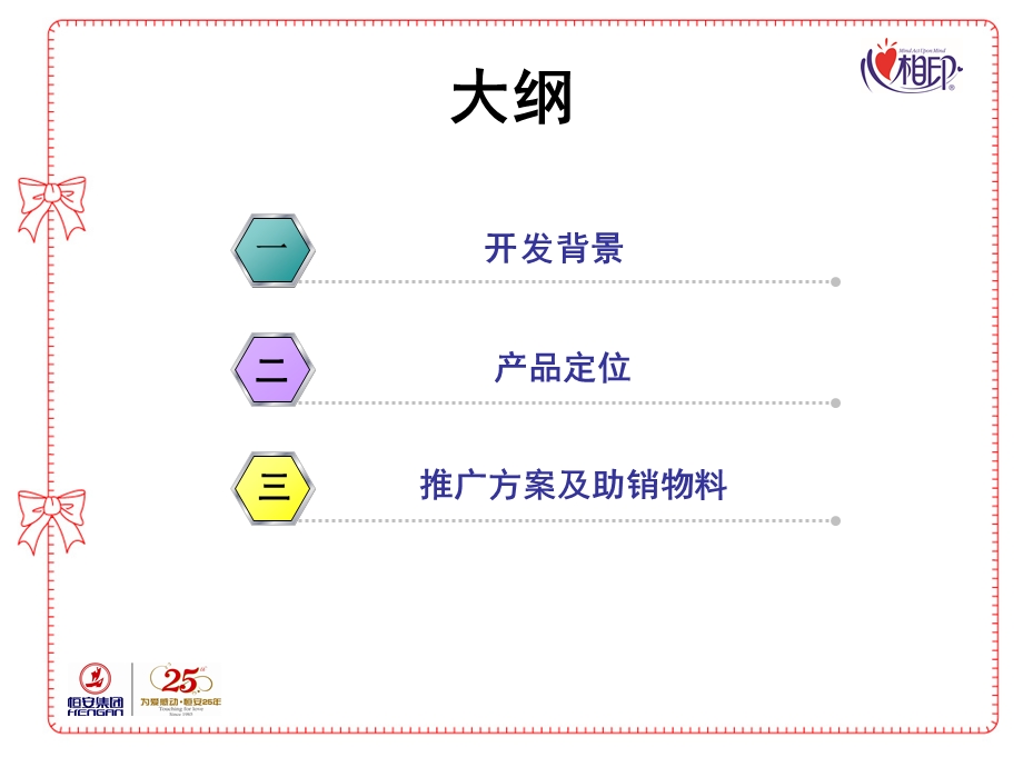 心相印冬己系列新品上市推广资料.ppt_第2页