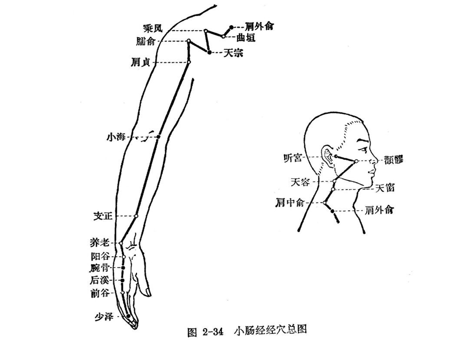 经络穴位及人体经络循行动画演示2.ppt_第3页