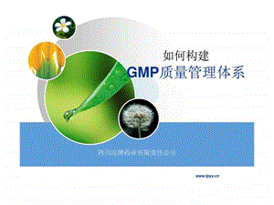 如何构建GMP质量管理体系1745421064.ppt.ppt