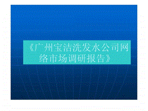 广州宝洁洗发水公司网络市场调研报告.ppt.ppt