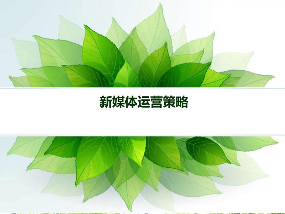 新媒体运营方案拿去用图文.ppt.ppt_第1页