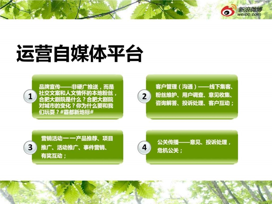 新媒体运营方案拿去用图文.ppt.ppt_第3页