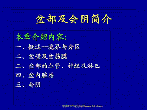 盆部及会阴中国妇产科的资料网文档资料.ppt