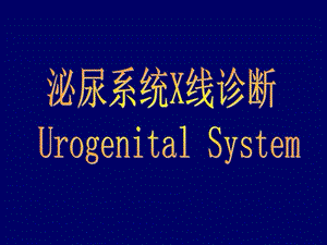 泌尿系统正常解剖结构及结石的X线诊断图文.ppt.ppt