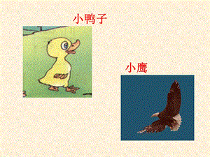 课文14自己去吧.ppt