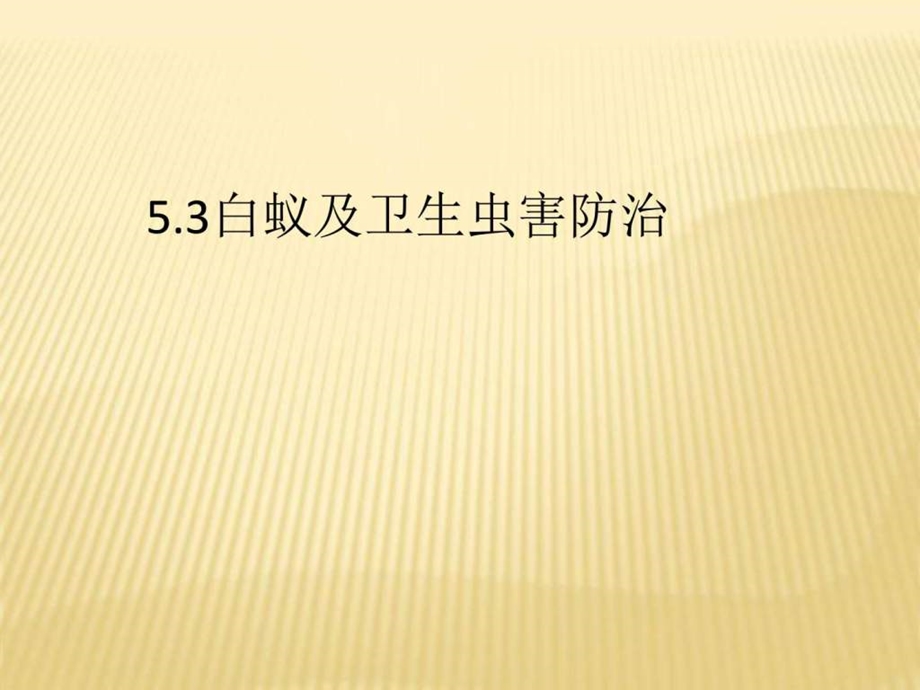 物业管理白蚁防治PPT.ppt.ppt_第1页