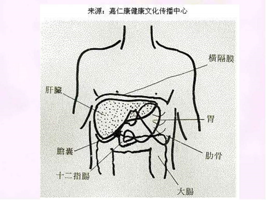 养生之道健康指南保肝护肝计划之二图文.ppt.ppt_第2页