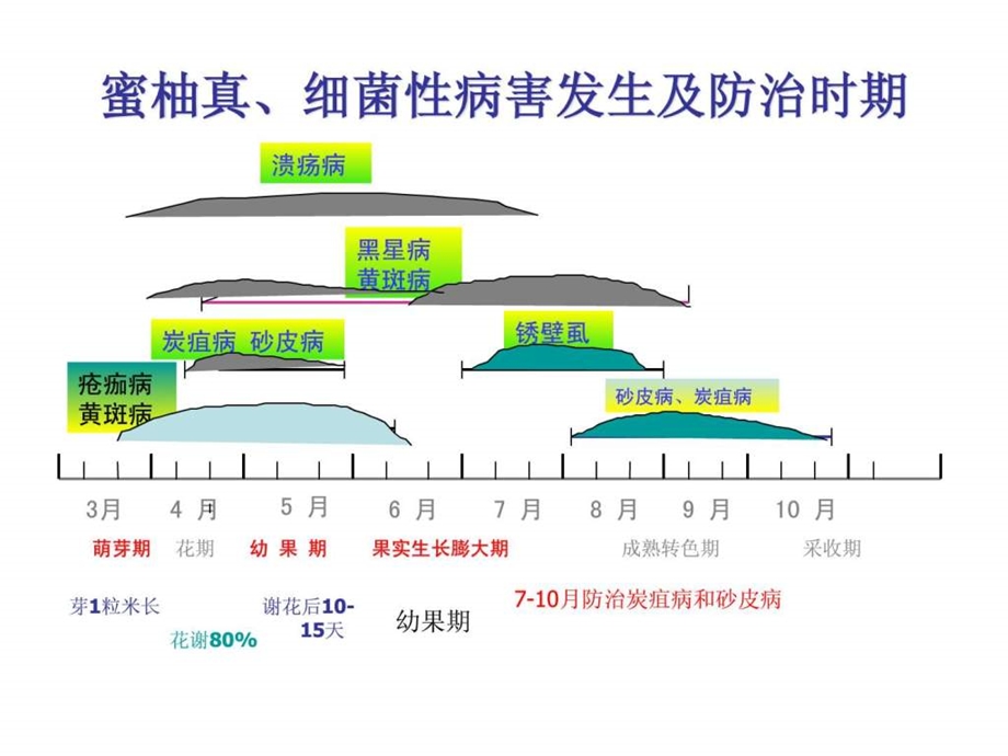 蜜柚病虫害综合防治技术图文.ppt.ppt_第3页