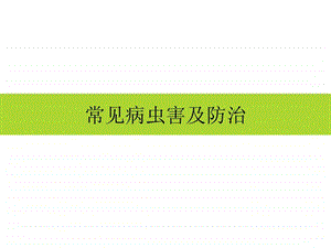 蜜柚病虫害综合防治技术图文.ppt.ppt