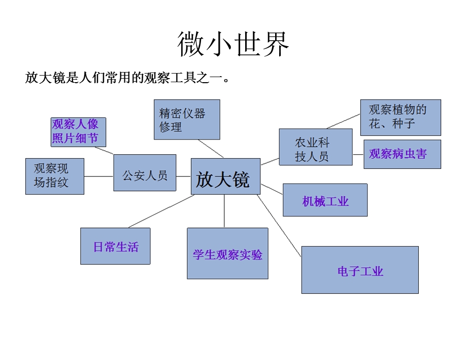 科学一二单元复习.ppt_第2页