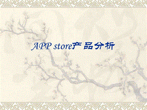 APPstore产品分析.ppt14.ppt