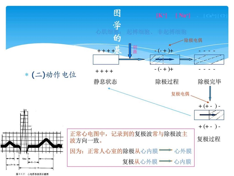 临床心电图学的基本知识PPT课件.ppt.ppt_第3页