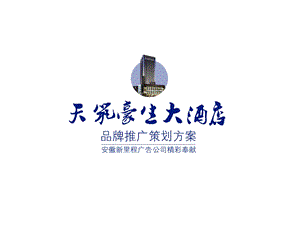 天筑豪生大酒店品牌推广方案.ppt