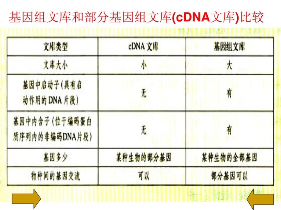 专题1基因工程12基因工程的基本操作程序.ppt_第3页