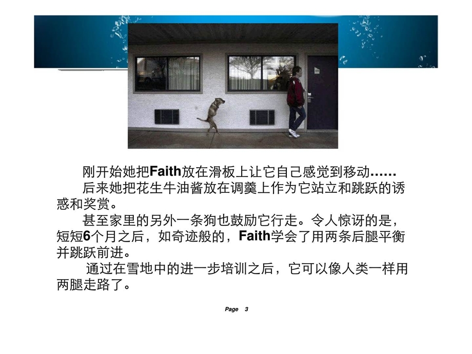 NLP教练式管理赢在人心19.ppt_第3页