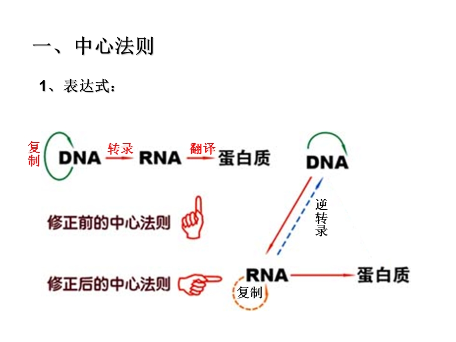 第二节基因对性状的控制.ppt_第2页