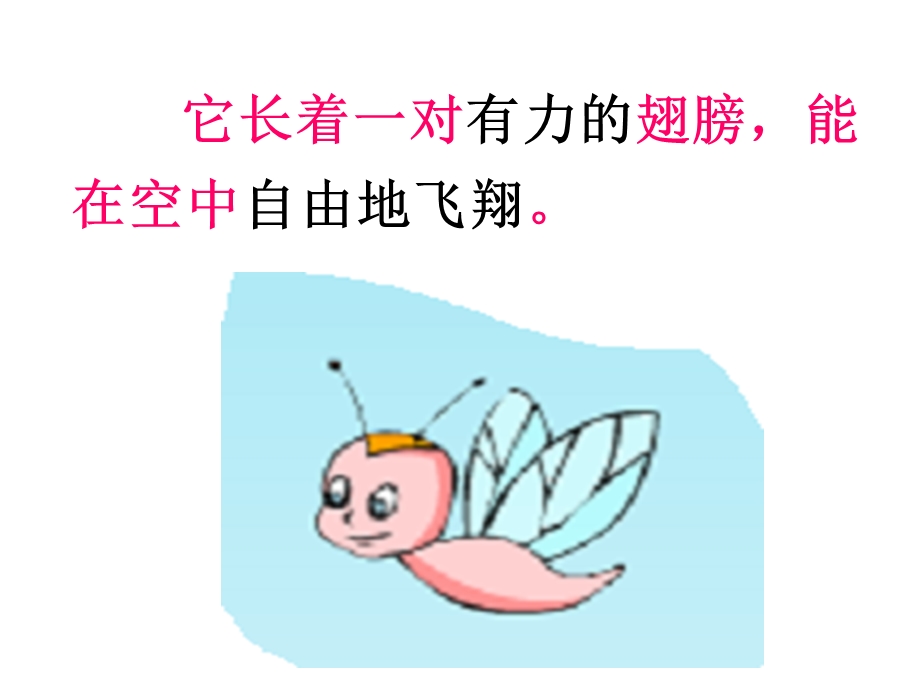 蜗牛的奖杯王华珠.ppt_第2页