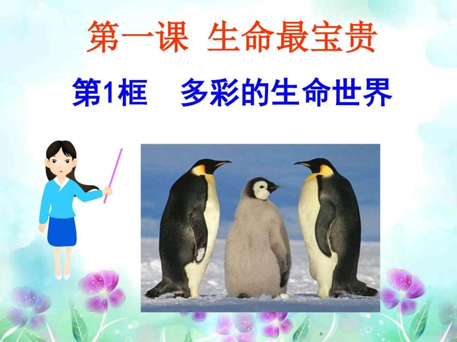 11多彩的生命世界1.ppt_第1页