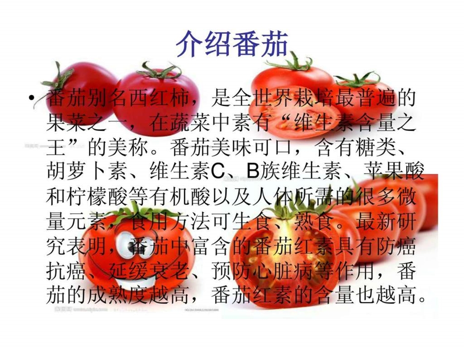 学做番茄酱课件.ppt.ppt_第2页