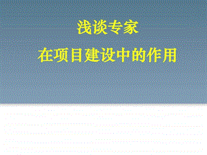 浅谈专家在项目建设中的作用.ppt.ppt