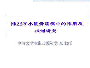 NR2B在小鼠骨癌痛中的作用及机制研究(黄东).ppt