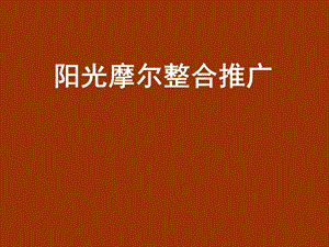 阳光摩尔视觉形象方案.ppt