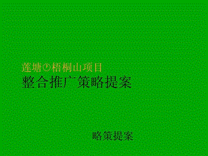 项目整合推广策略提案房地产策划文案.ppt