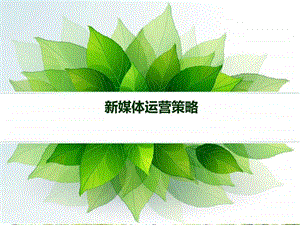 新媒体运营方案图文.ppt.ppt