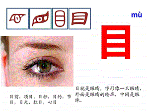 与目有关的汉字图文.ppt.ppt