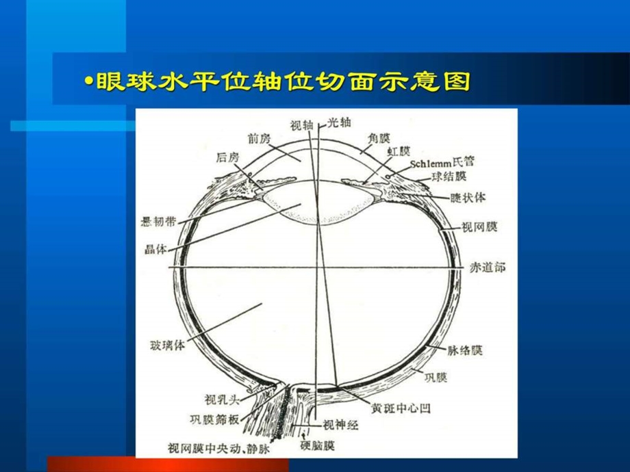 眼部B超常见病的图像及诊断PPT课件.ppt.ppt_第3页