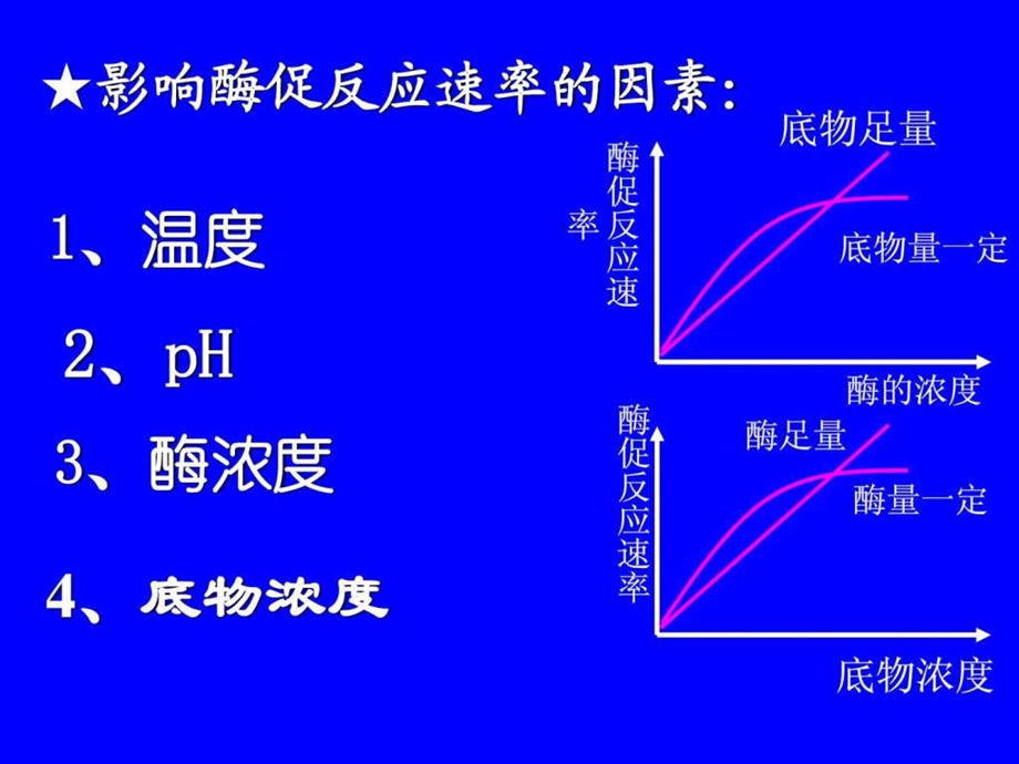 与酶有关曲线的解读.ppt.ppt_第3页