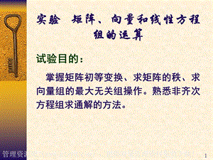 矩阵向量和线性方程组的运算.ppt